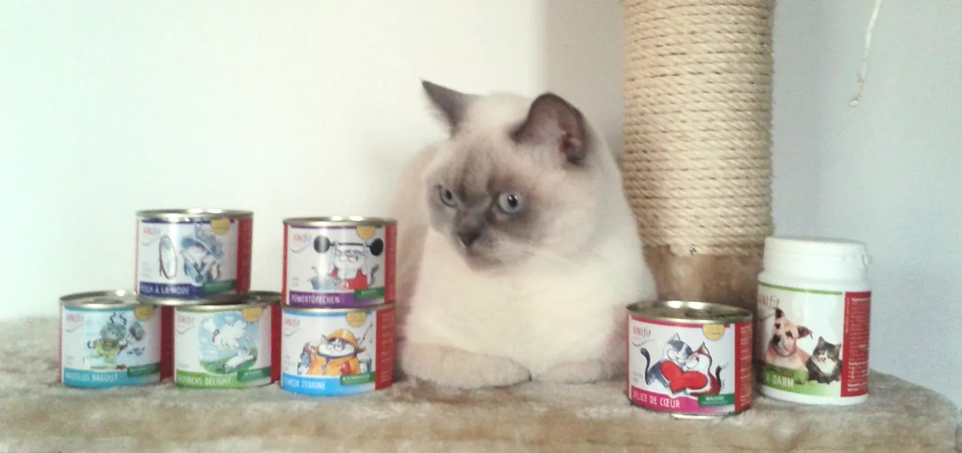 ANIfit Katzenfutter – Getreidefrei und zuckerfrei