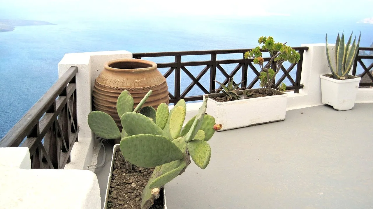 Balkon Bewässerungssystem – Pflanzen bestens versorgen