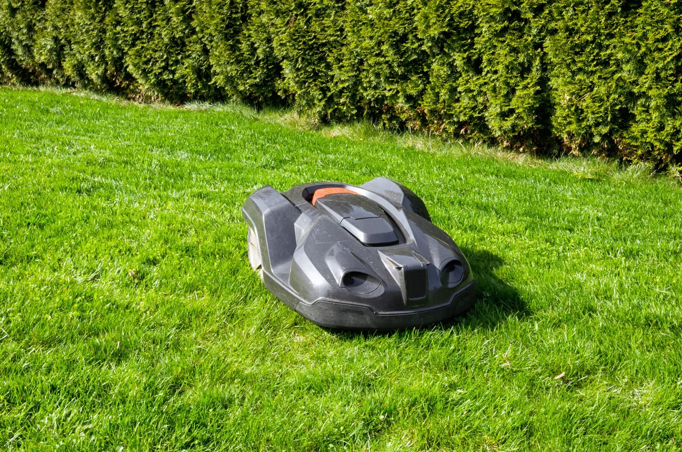 Mähroboter Kantenmähfunktion – Darauf kommt es an