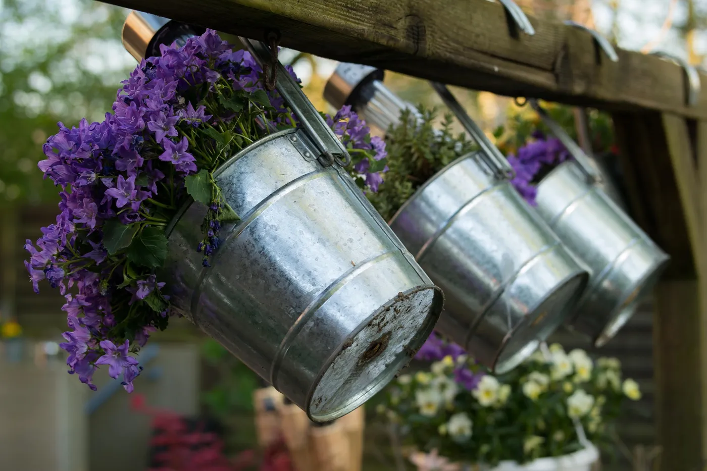 Gartengestaltung – Das sollten Sie beachten
