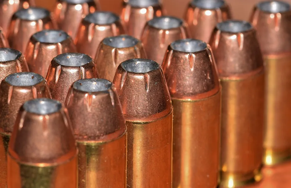 Kaliber 308 vorgestellt