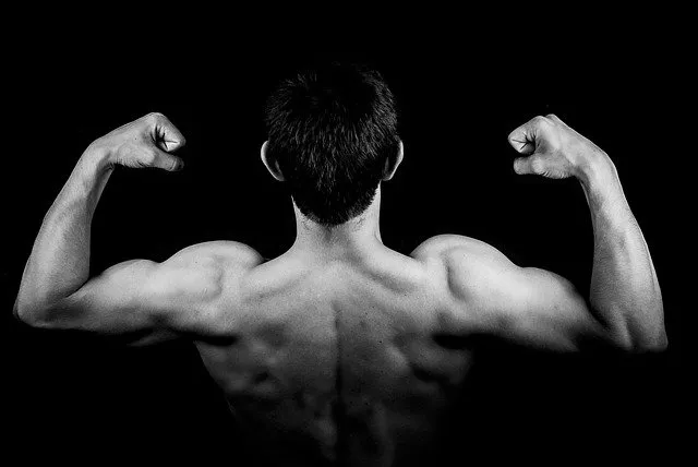 Ergometer klappbar – Top 9 klappbare Heimtrainer!