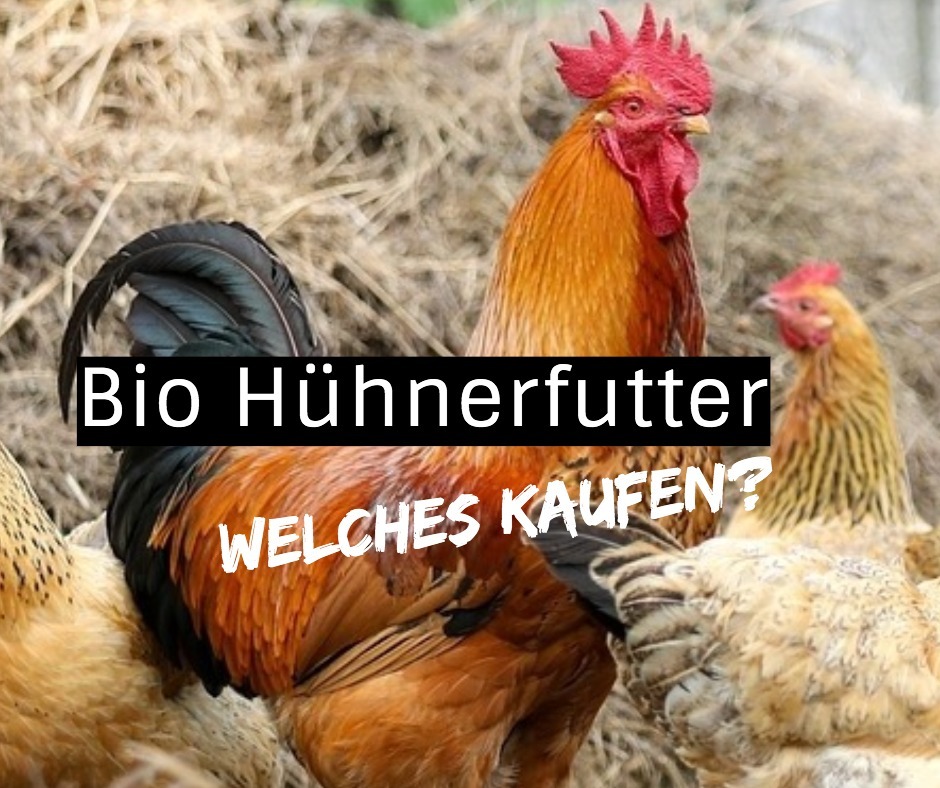 hühnerfutter bio