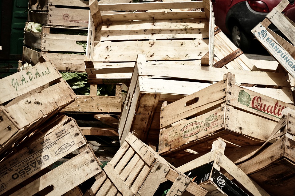 food waste
