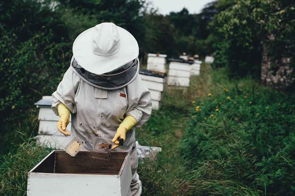 Oxalsäure Säure Verdampfer Varroa Behandlung Beekeeping Imker