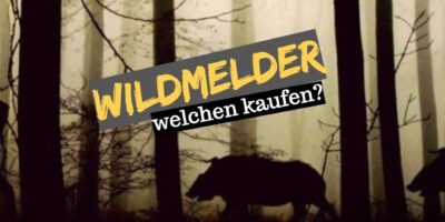Wildmelder – Welchen kaufen? wildmelder