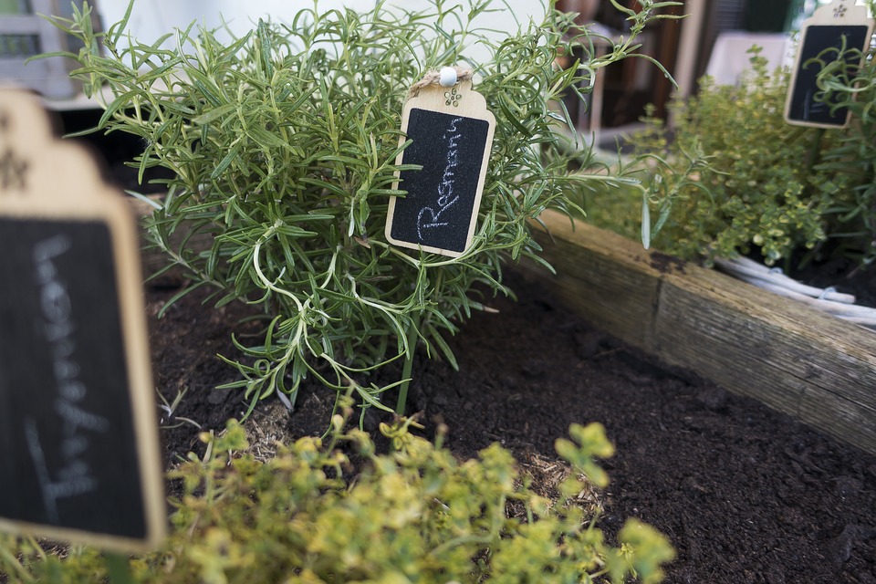 Hochbeet dngen - So gehts!  Landlive.de