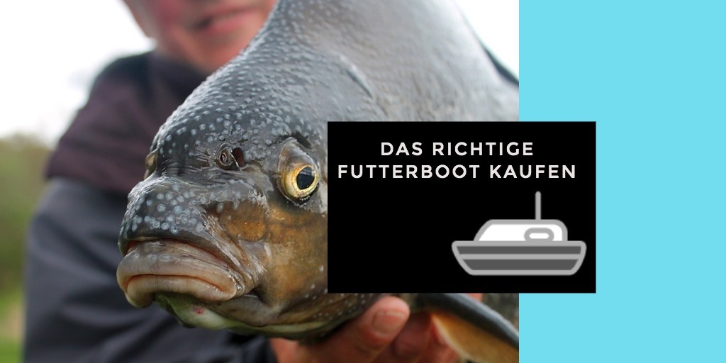 futterboot