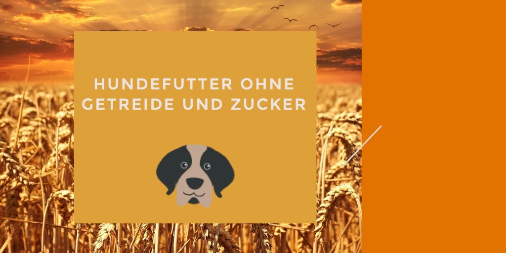 hundefutter ohne zucker und getreide