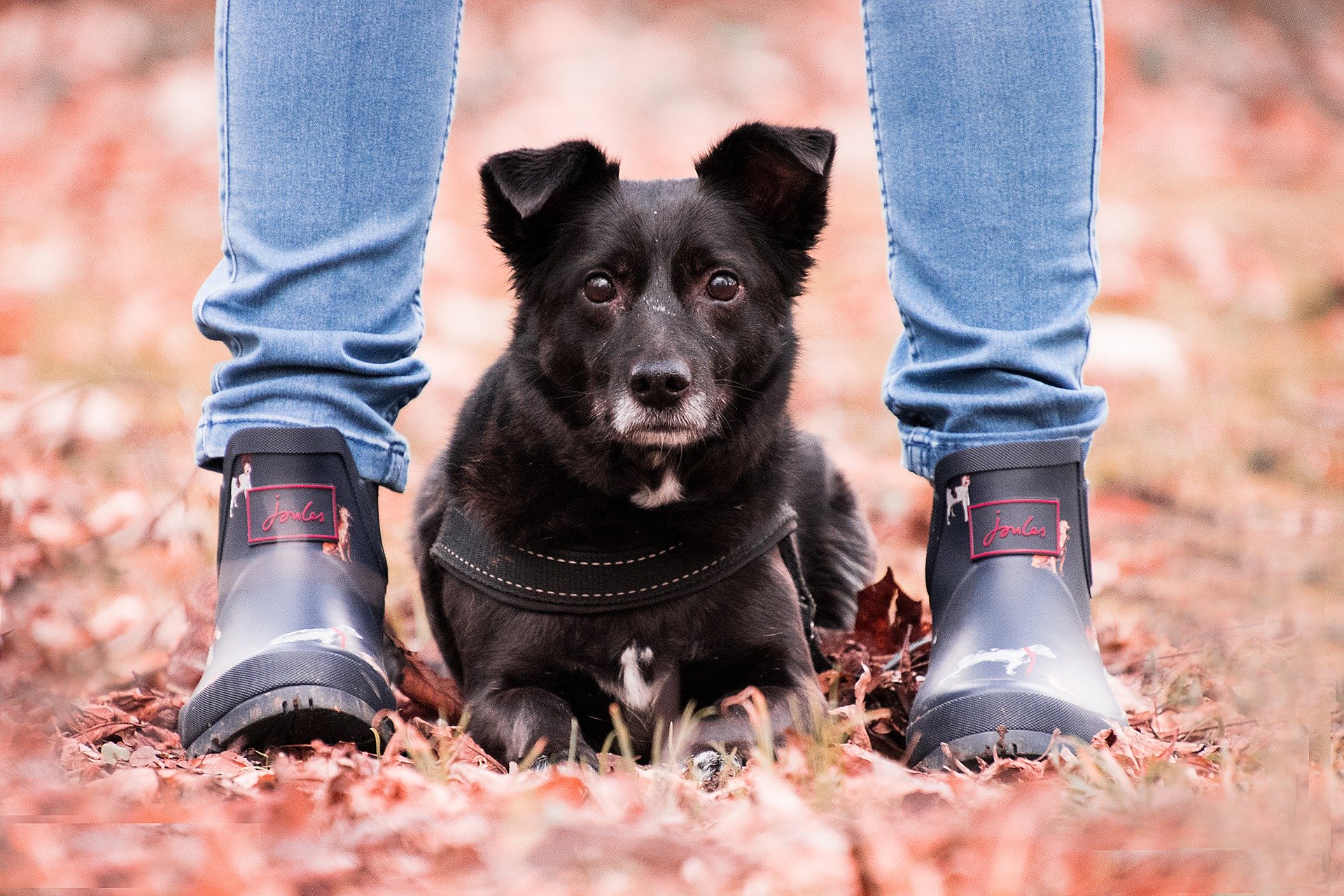 Neoprenstiefel