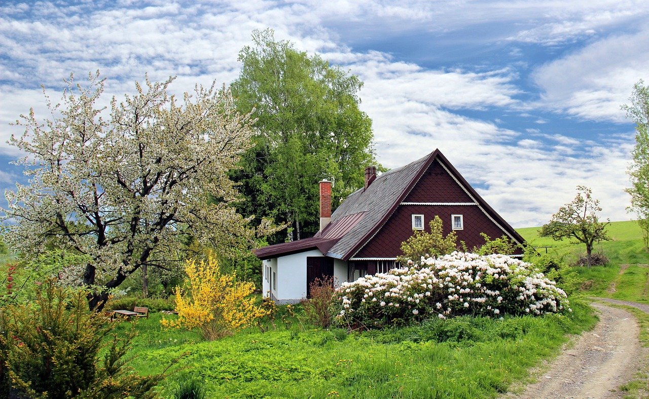 Wie lange stinkt Buttersäure im Garten?