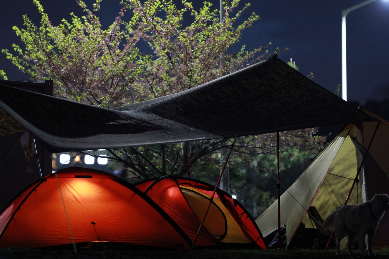 camping pavillon