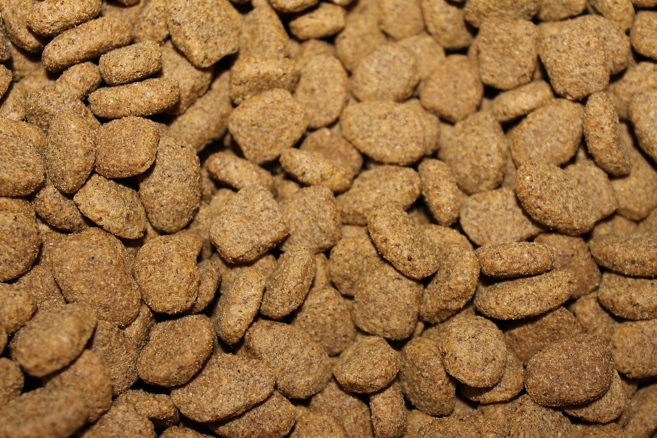 Welches Hundefutter ist das beste für meinen Hund? - Kibble 855419 1280