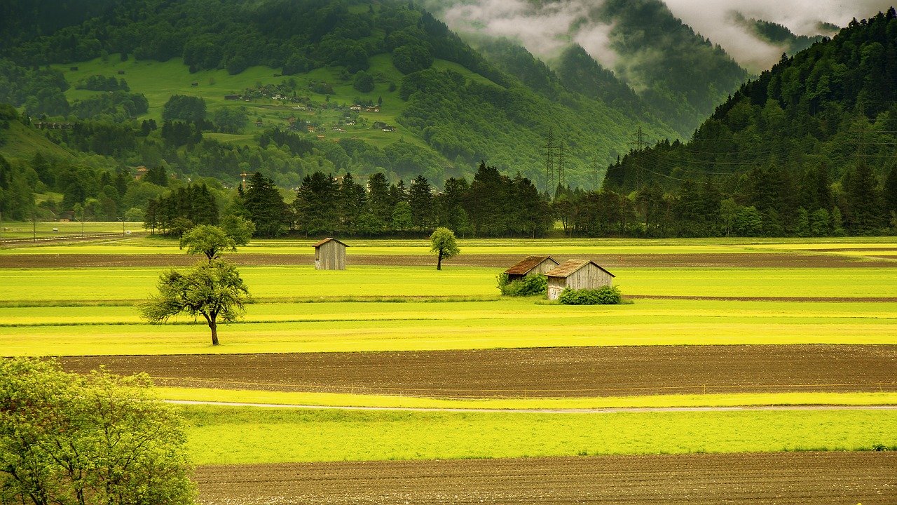 landwirtschaftliche Immobilien