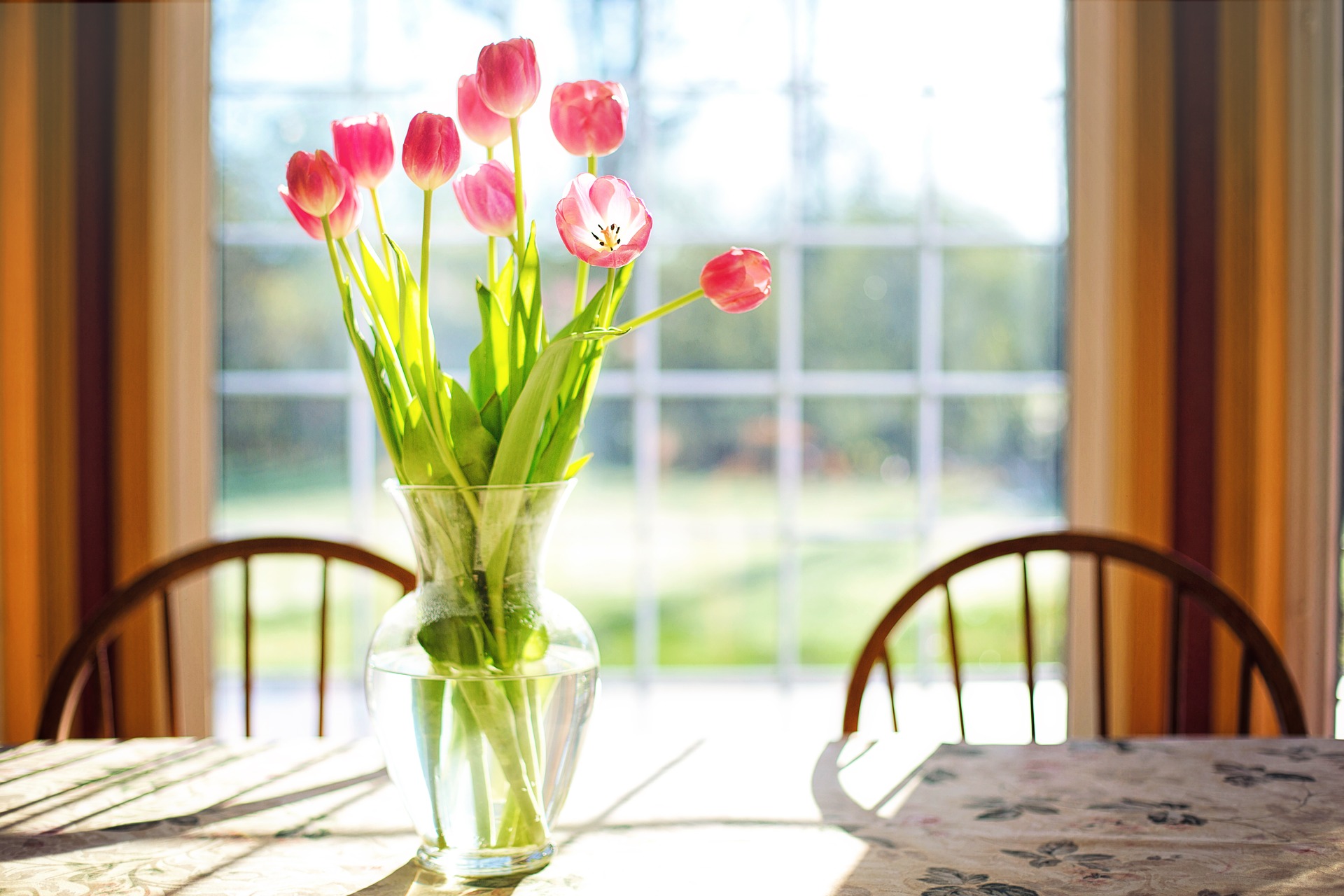 blumen zu hause