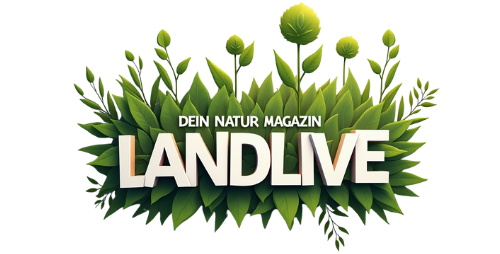 Logo Landlive neu
